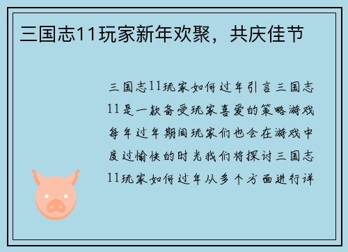 三国志11玩家新年欢聚，共庆佳节